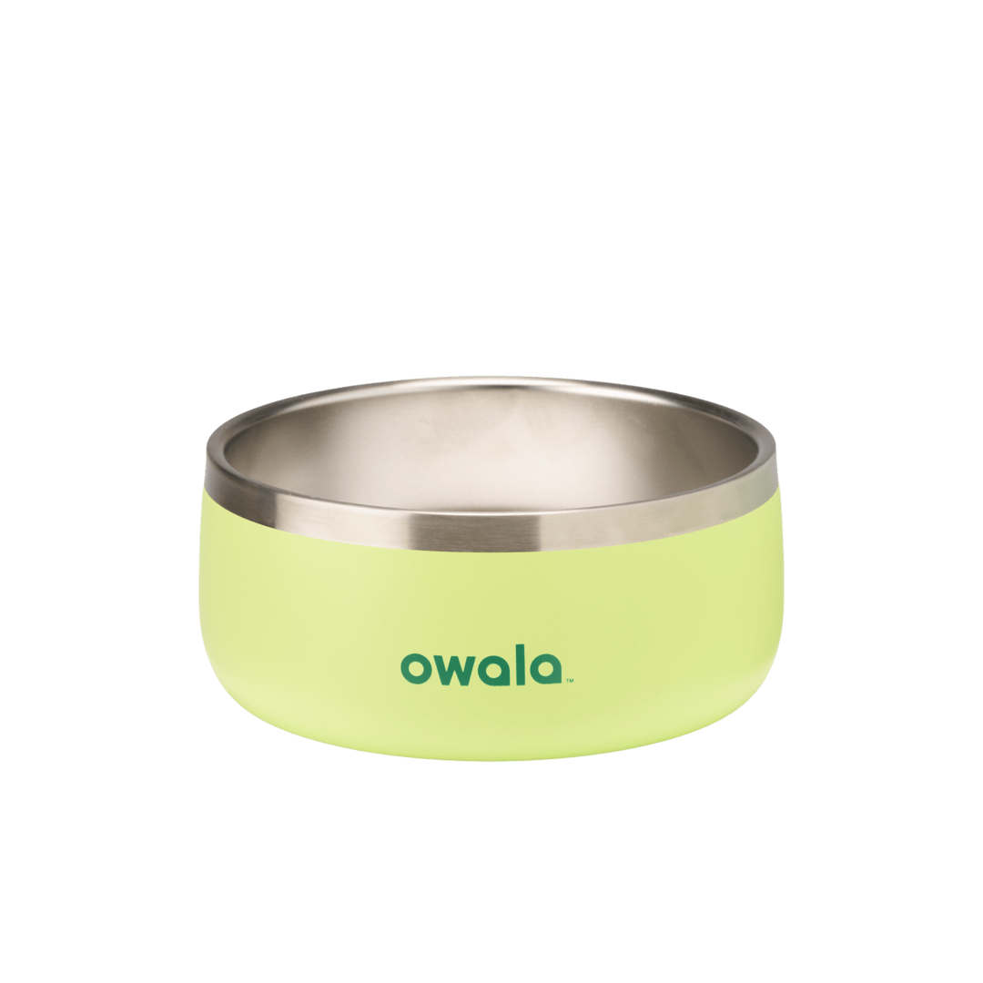 Pet Bowl Custom