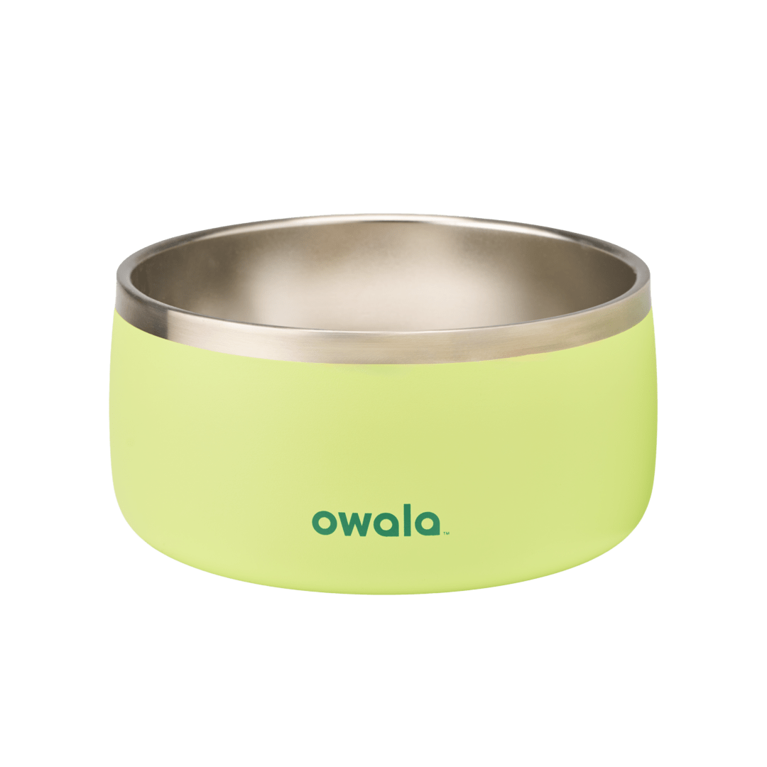 Pet Bowl Custom