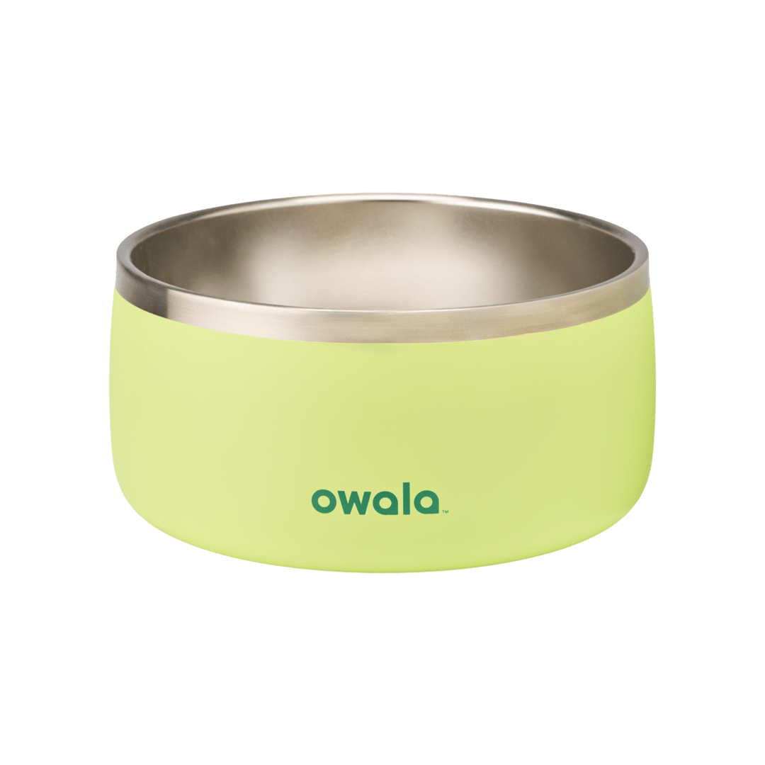 Pet Bowl Custom