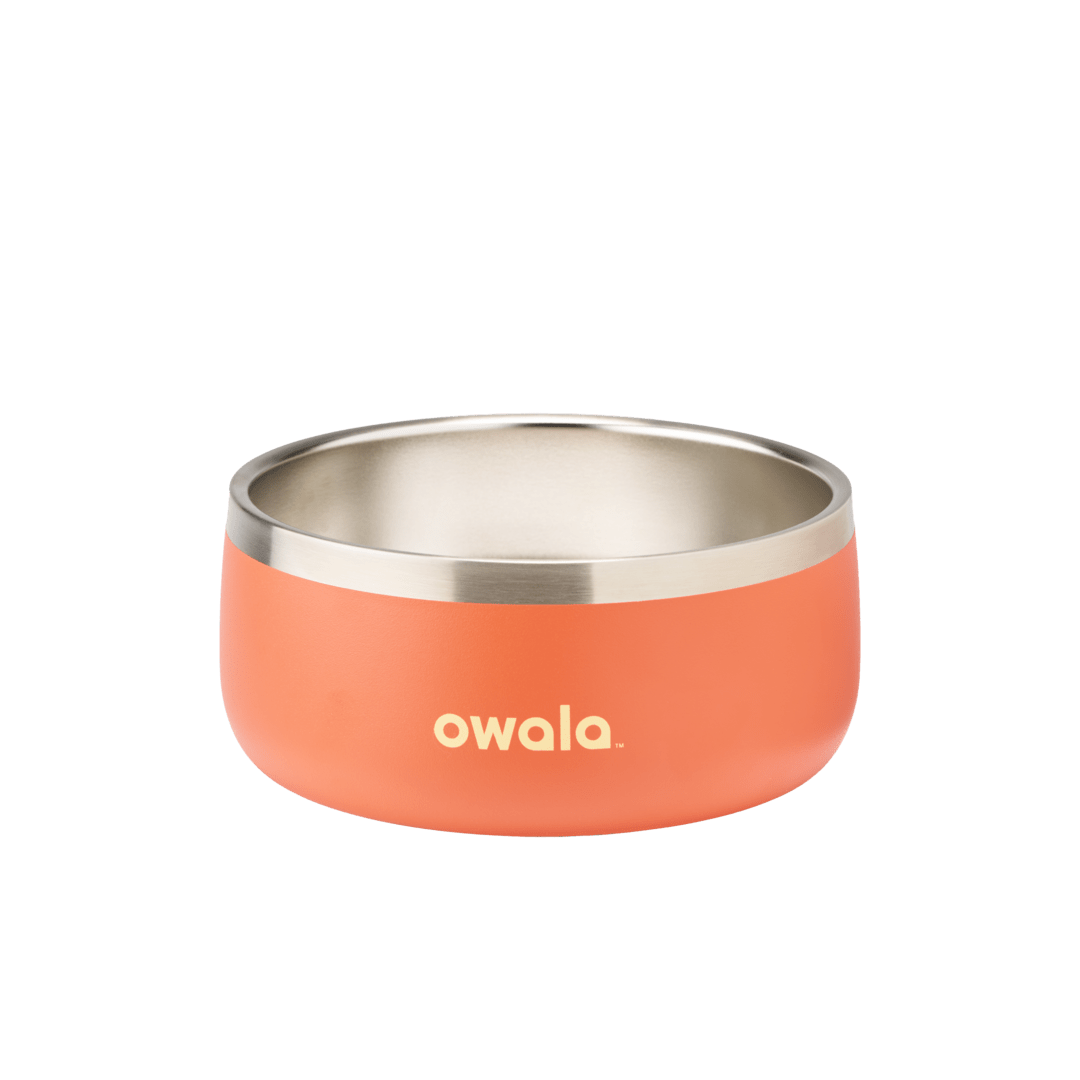 Pet Bowl Custom