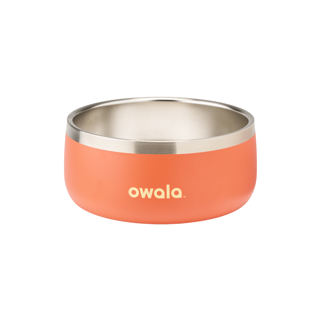 Pet Bowl Custom