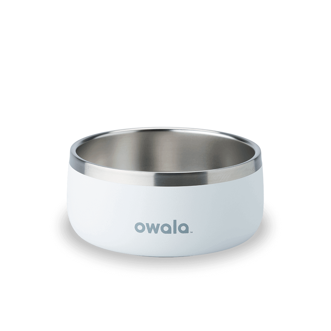 Pet Bowl Custom