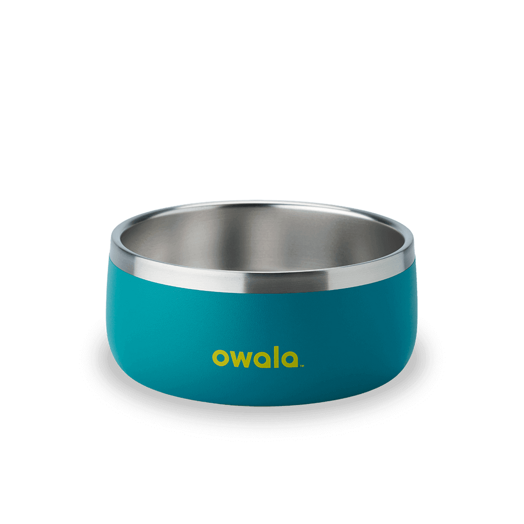 Pet Bowl Custom