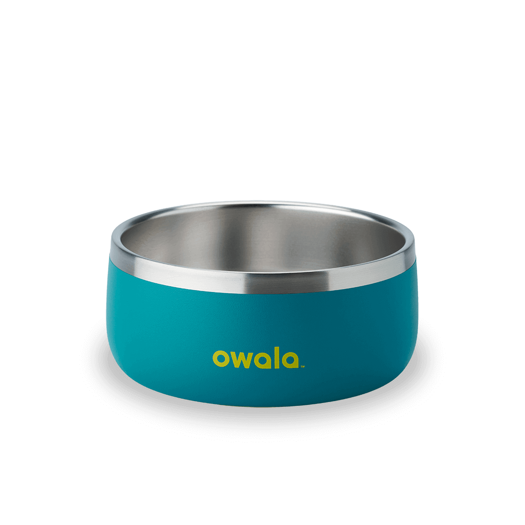 Pet Bowl Custom