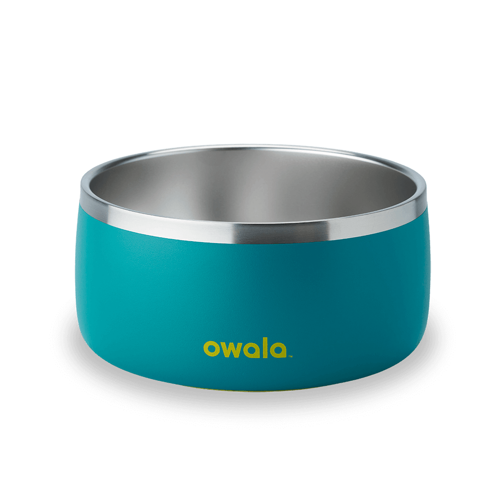 Pet Bowl Custom